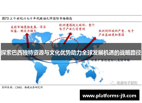探索巴西独特资源与文化优势助力全球发展机遇的战略路径