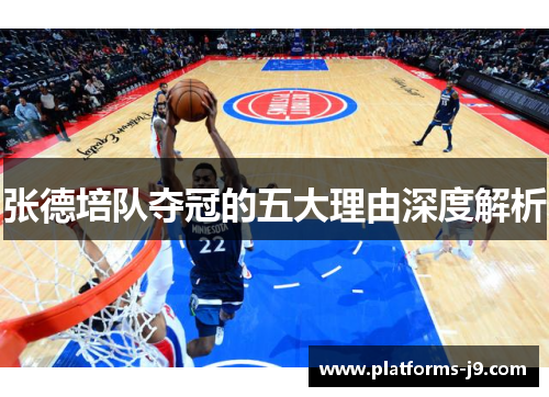 张德培队夺冠的五大理由深度解析