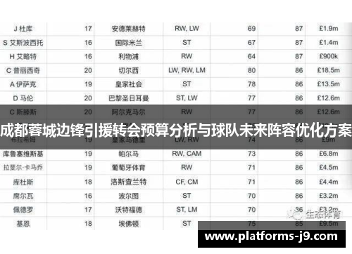 成都蓉城边锋引援转会预算分析与球队未来阵容优化方案
