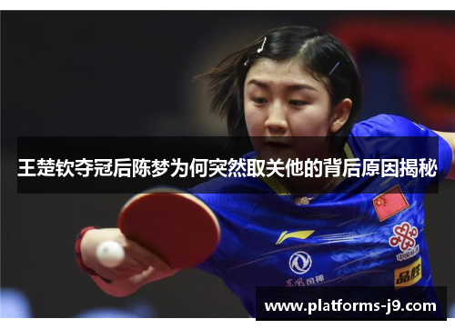 王楚钦夺冠后陈梦为何突然取关他的背后原因揭秘 王楚钦夺冠后陈梦为何突然取关他的背后原因揭秘